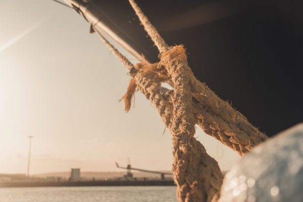 Shipping Profesionnals